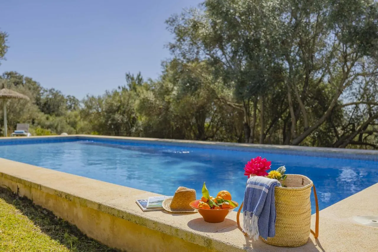 Villa Hidden Retreat / Denga Pollenca